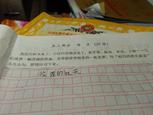 寫汸城北小學的校園的作文