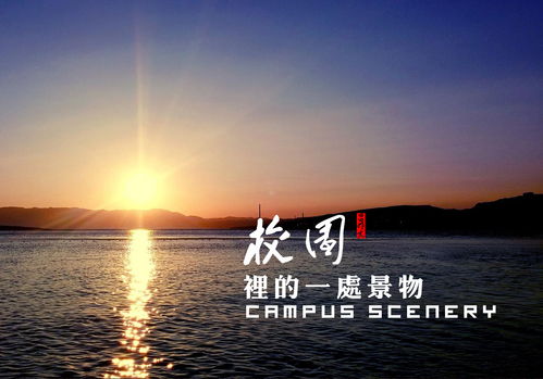 300字校園寫景作文