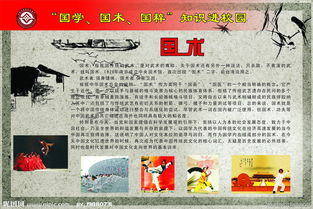 國粹進校園的作文