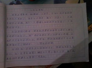 校園回憶抒情作文