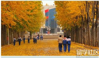 作文秋天的校園350字