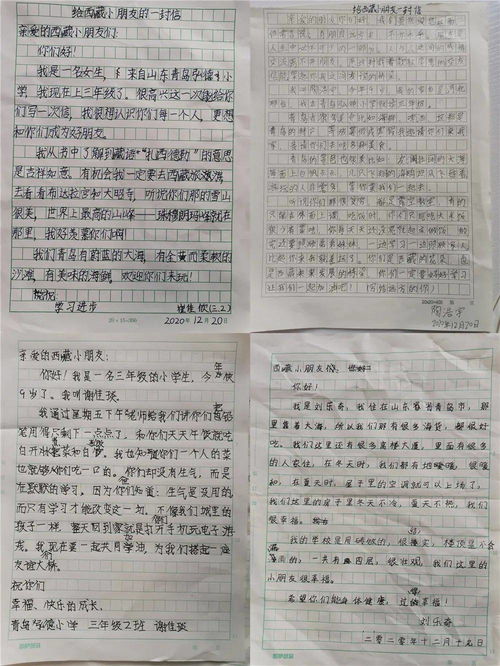 情暖校園作文初中