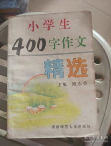 小學(xué)生校園400字好作文大全