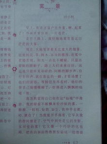 校園的雪景0-200字作文