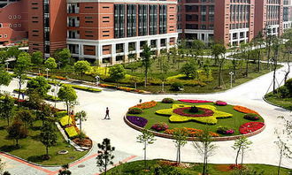 學(xué)生在校園花壇玩的作文三百字