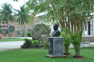 校園四季的一角作文400字