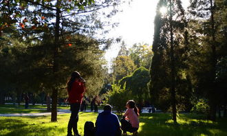 發(fā)生在校園難忘的事500字作文