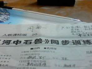 作文,關(guān)于我們,校園,百字