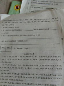 校園一角怎么寫作文?,校園一角怎么寫作文四年級,推薦圖書館怎么寫作文