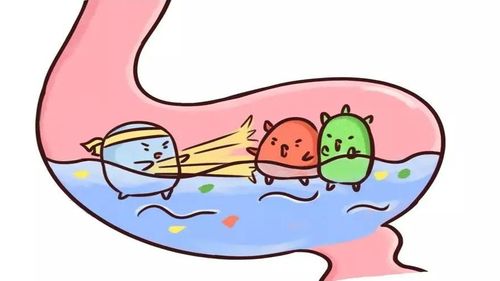 胃炎,注意事項(xiàng),酒精性