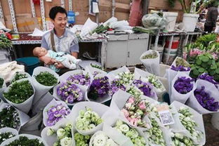 賣花的注意事項(xiàng),擺攤賣花注意事項(xiàng),情人節(jié)賣花注意事項(xiàng)