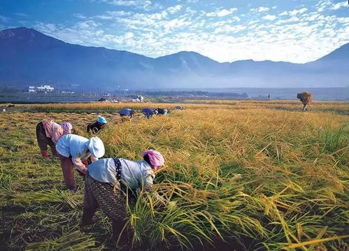 耕地,注意事項(xiàng)