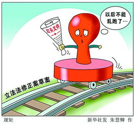 制定地方性法規(guī)的注意事項