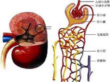 靜脈,簡述,血癥,注意事項(xiàng)