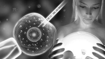 解凍移植后注意事項,吃點什么,解凍囊胚移植后著床注意事項,冷凍胚胎移植前注意事項