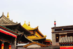 塔爾寺游覽注意事項(xiàng)