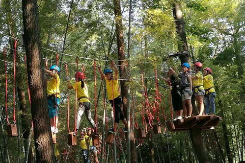 叢林穿越項(xiàng)目注意事項(xiàng)