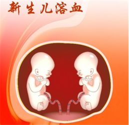 溶血,新生兒,注意事項,檢查