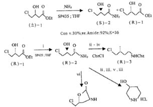 脂肪酶高注意事項(xiàng)