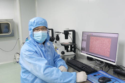 復(fù)蘇,注意事項(xiàng),細(xì)胞,步驟