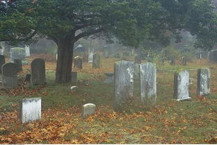 購買墓地注意事項,怎樣選墓地及注意事項,購買墓地合同注意事項