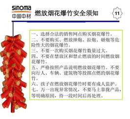 春節(jié)期間安全生產(chǎn)注意事項(xiàng),春節(jié)期間防疫注意事項(xiàng),春節(jié)期間工作安排及注意事項(xiàng)