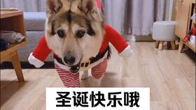 疫苗,注射,注意事項(xiàng)