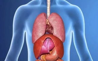 氣胸負(fù)壓吸引禁忌,氣胸負(fù)壓吸引原理,氣胸負(fù)壓吸引一般多長(zhǎng)時(shí)間