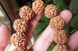 佩戴,注意事項,金剛