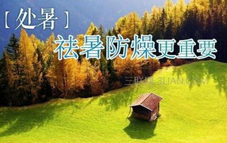 處暑開運注意事項