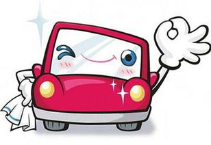 自動波新手上路注意事項