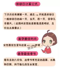 孕前準(zhǔn)備工作和注意事項(xiàng)