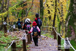 登山,注意事項(xiàng),活動(dòng)