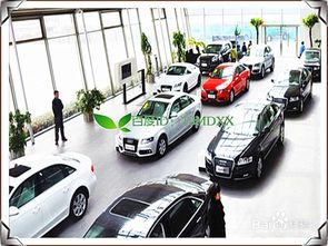 注意事項,汽車,買美規(guī)版