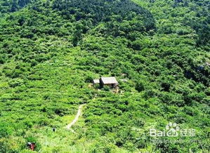 野外游泳的注意事項,野外施工安全注意事項,野外宿營注意事項