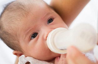 混合養(yǎng)的寶寶注意事項(xiàng)