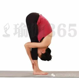 站立,注意事項(xiàng),前屈式