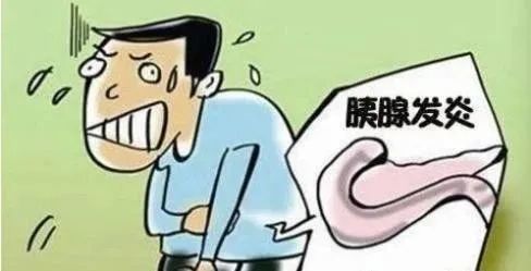 胰腺炎,注意事項(xiàng),護(hù)理