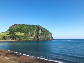 一個人去濟州島注意事項