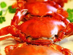 吃法,螃蟹,注意事項
