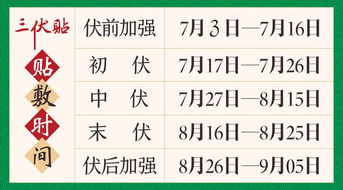 伏貼,注意事項(xiàng)