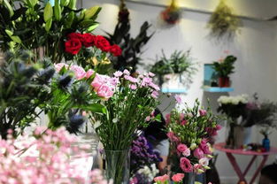 注意事項(xiàng),七夕賣花