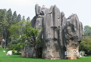 到云南旅游注意事項(xiàng)