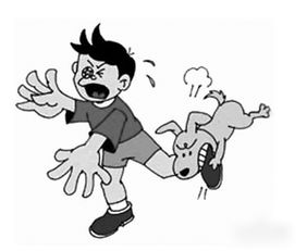 打狂犬育苗注意事項