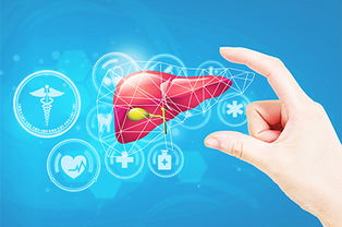 肝臟介入手術(shù)前注意事項(xiàng),肝臟病病人手術(shù)前注意事項(xiàng),肝臟手術(shù)麻醉注意事項(xiàng)