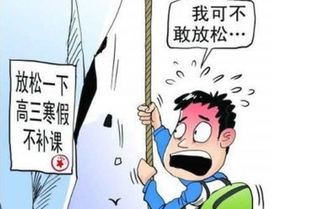 高三補(bǔ)課注意事項(xiàng)