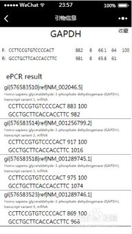 pcr引物設(shè)計(jì)的注意事項(xiàng),引物設(shè)計(jì)的注意事項(xiàng),pcr引物設(shè)計(jì)原則及注意事項(xiàng)