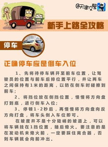 注意事項,上路,新手