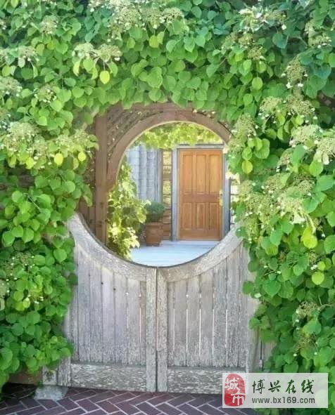 底樓,注意事項,房子,購買