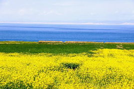 青海湖,注意事項(xiàng)